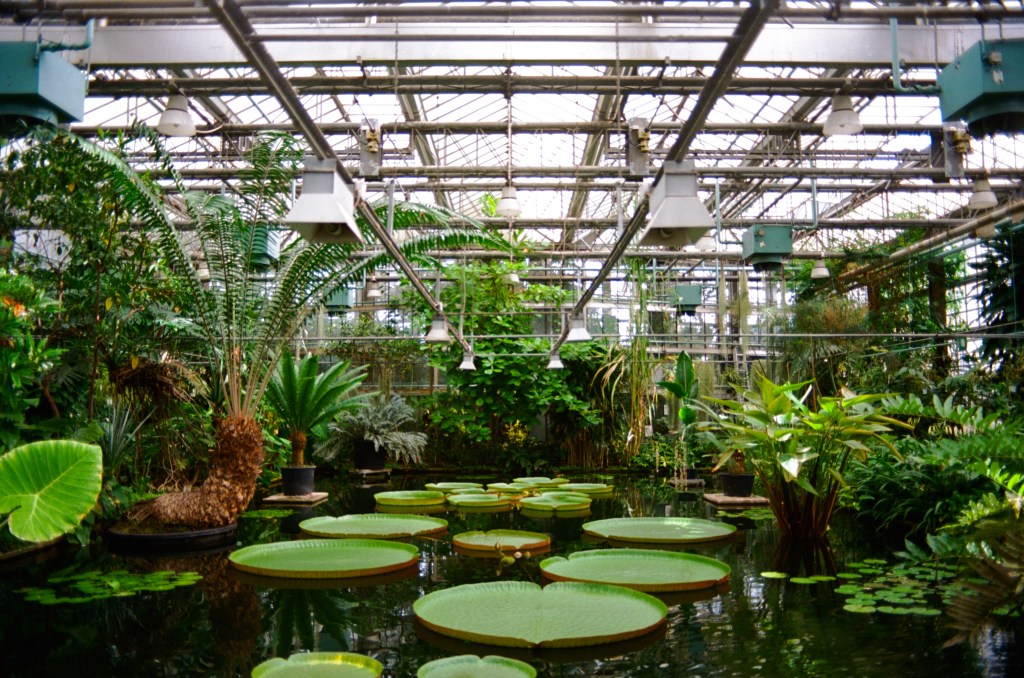 Planten, Ghent &&nbsp;Bruges